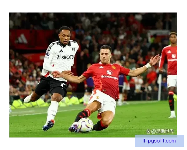 曼联官宣德里赫特加盟并确认穿上4号球衣